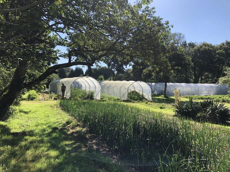 La Terre Ferme - Au Coeur D'Une Ferme Maraichere Saint-Lunaire Kültér fotó